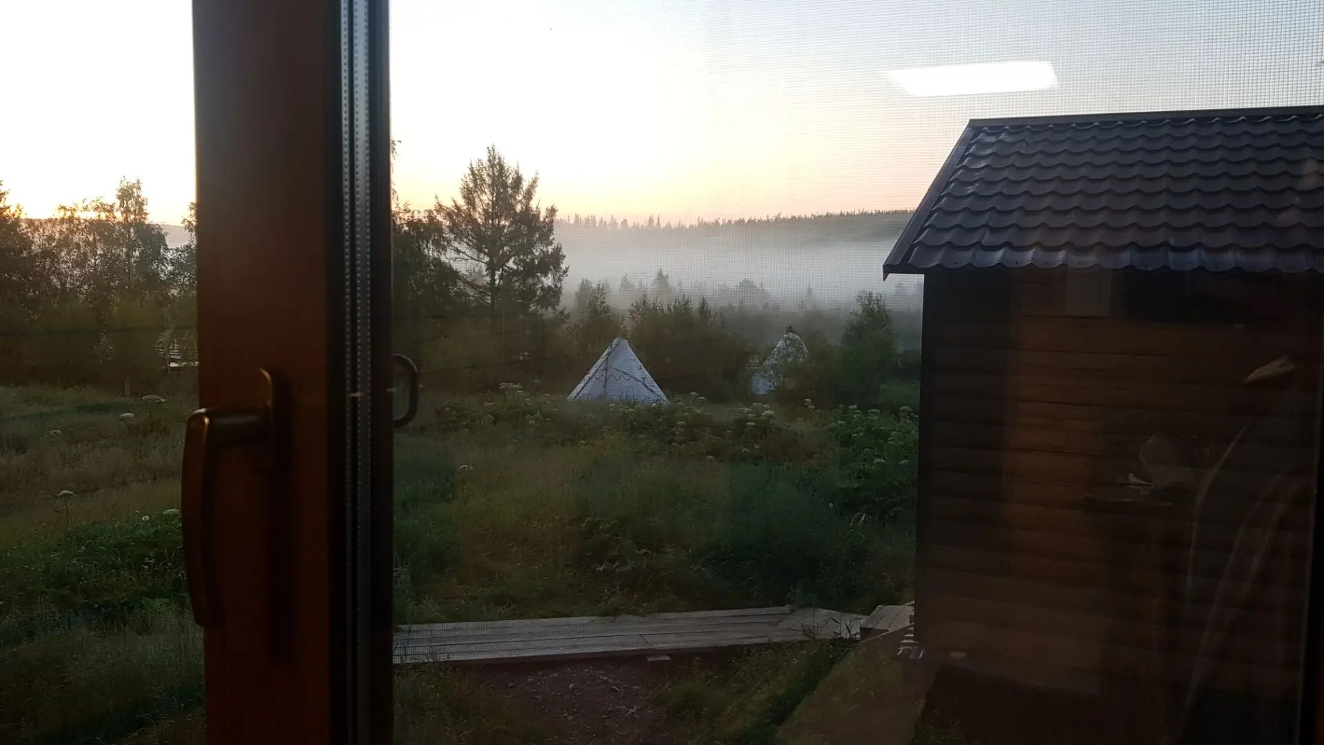 Тайга с высоты
