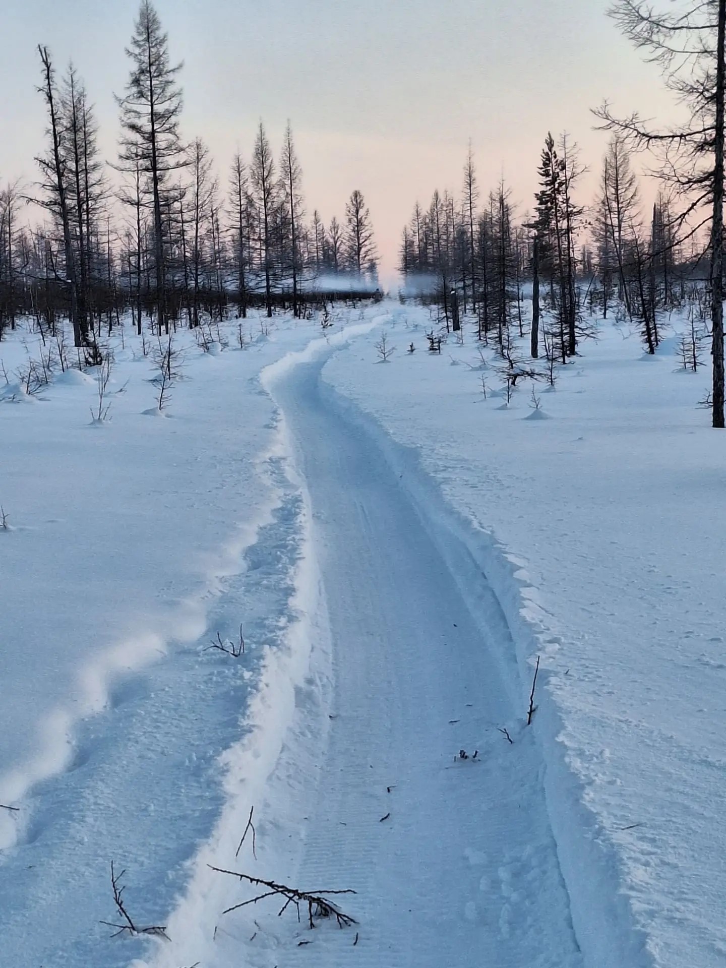 Оленеводы